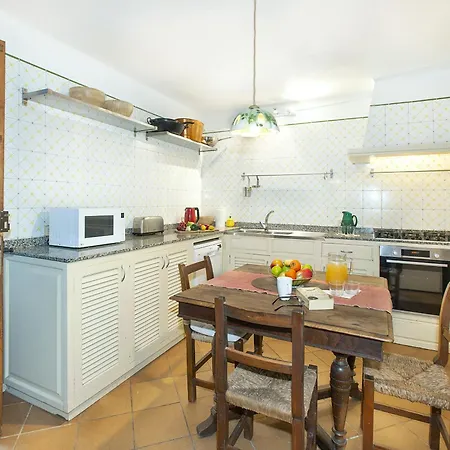 Owl Totxa - In The Midst Of Nature