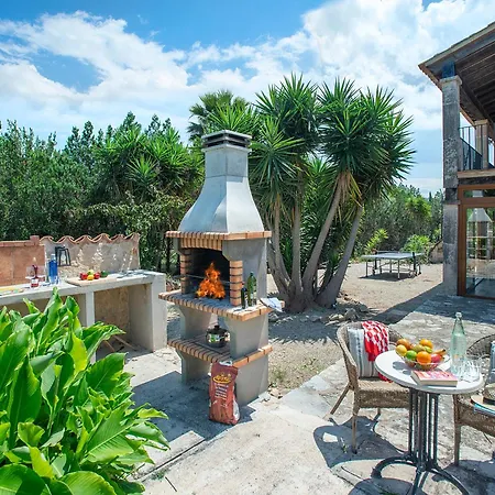 Owl Totxa - In The Midst Of Nature