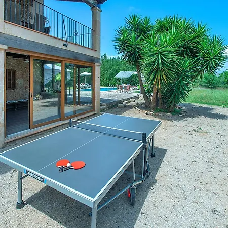 Owl Totxa - In The Midst Of Nature