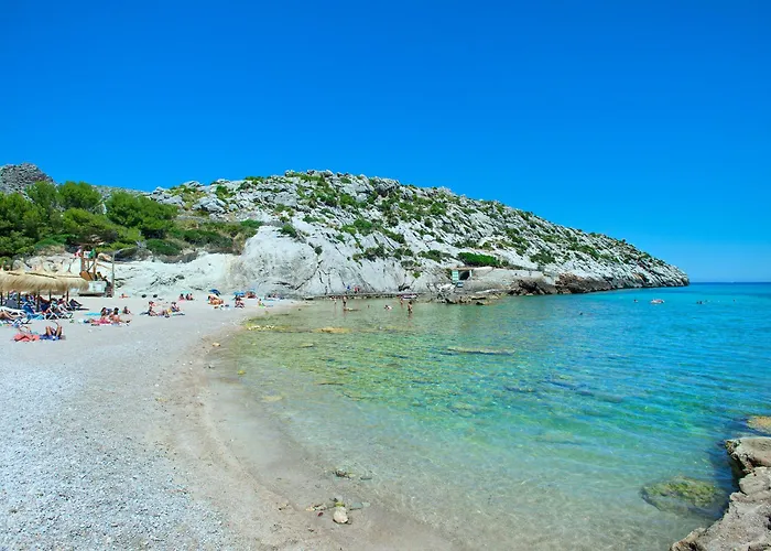 Owl Totxa - In The Midst Of Nature