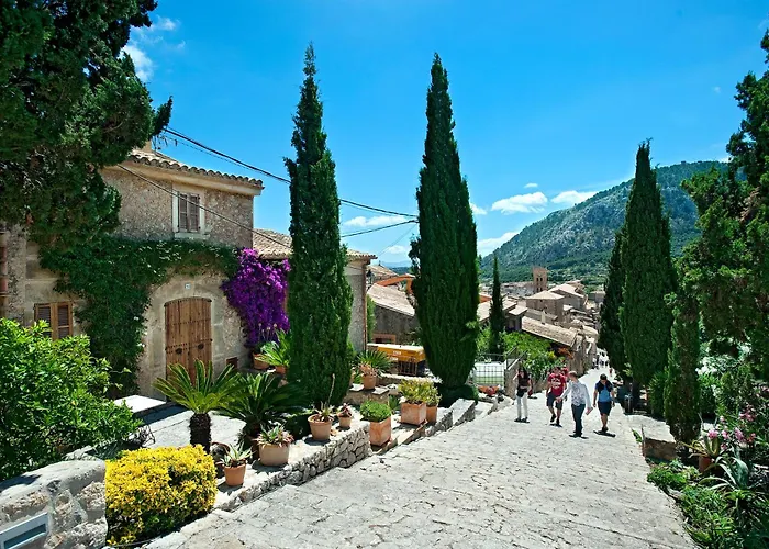 Owl Totxa - In The Midst Of Nature *