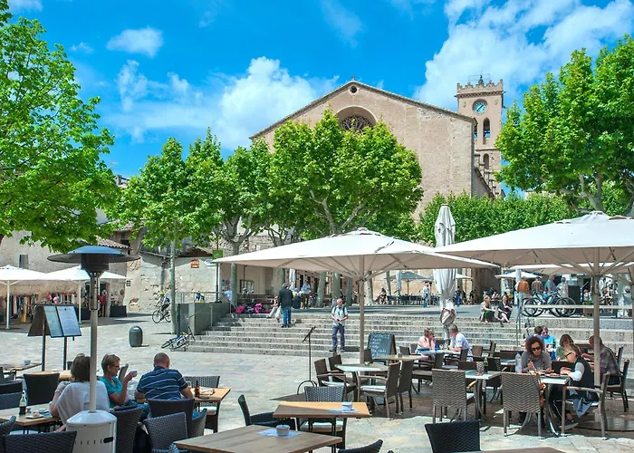 Owl Totxa - In The Midst Of Nature *