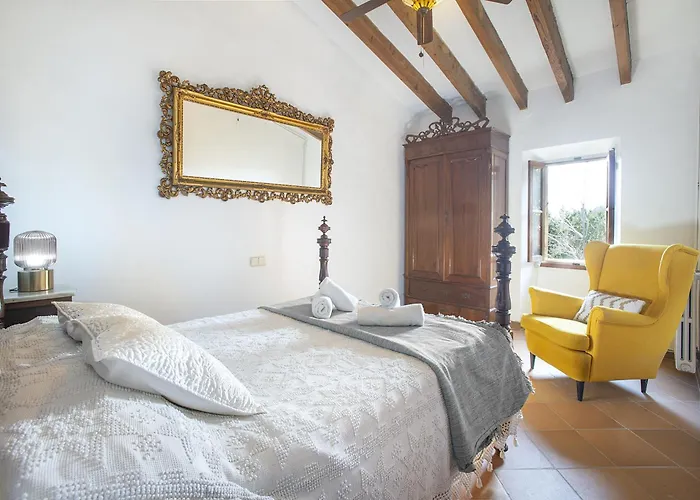 Owl Totxa - In The Midst Of Nature *