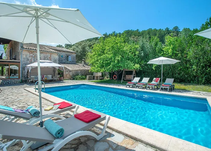 Owl Totxa - In The Midst Of Nature