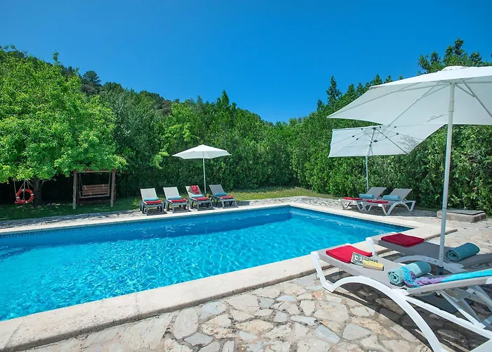 Owl Totxa - In The Midst Of Nature * Польєнса