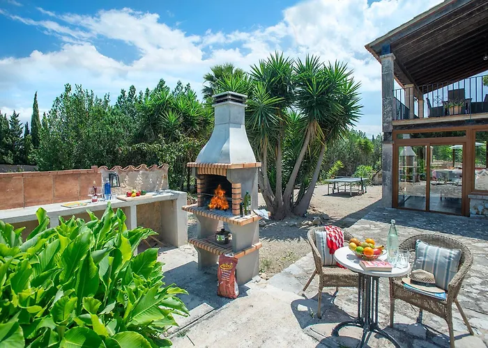 Owl Totxa - In The Midst Of Nature