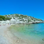 Owl Totxa - In The Midst Of Nature