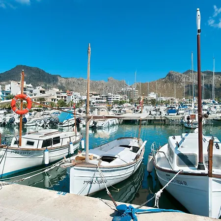 Owl Totxa - In The Midst Of Nature