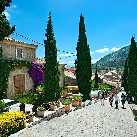 Owl Totxa - In The Midst Of Nature *