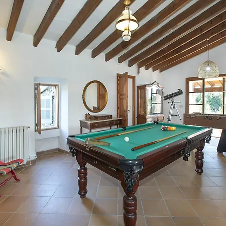 Owl Totxa - In The Midst Of Nature