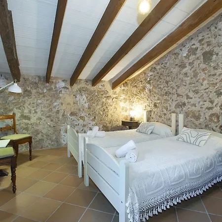 Owl Totxa - In The Midst Of Nature * Pollença