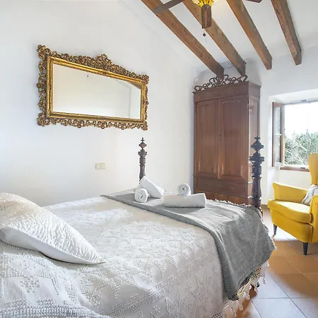 Owl Totxa - In The Midst Of Nature *