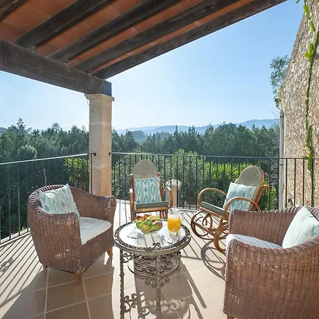 Owl Totxa - In The Midst Of Nature *