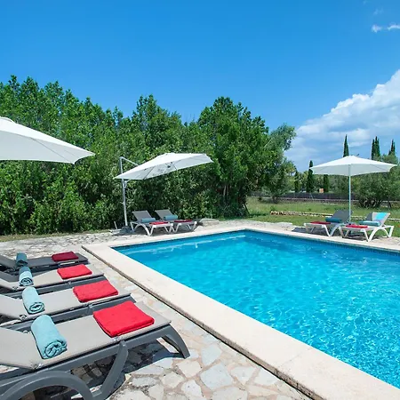 Owl Totxa - In The Midst Of Nature *