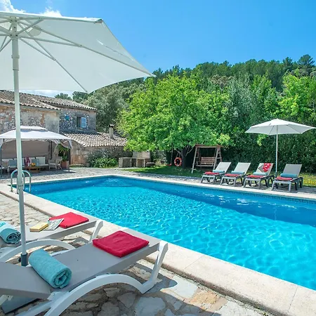 Owl Totxa - In The Midst Of Nature