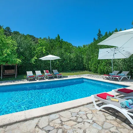 Owl Totxa - In The Midst Of Nature * Польєнса