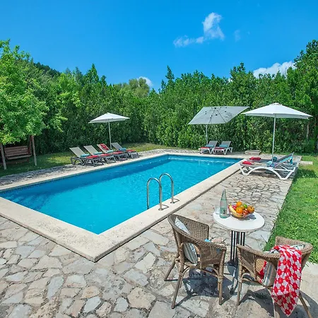 Owl Totxa - In The Midst Of Nature * Польєнса