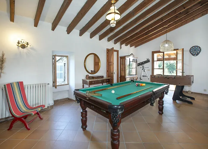 Owl Totxa - In The Midst Of Nature