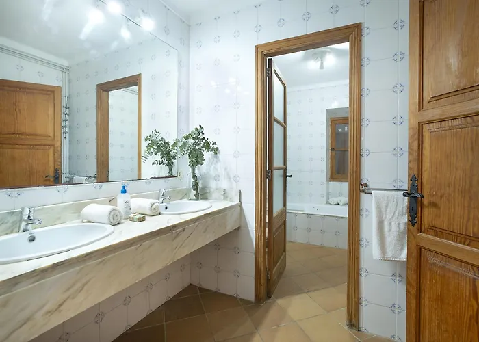 Owl Totxa - In The Midst Of Nature *