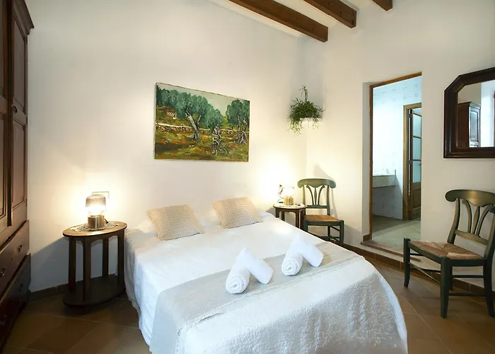 Owl Totxa - In The Midst Of Nature Pollença