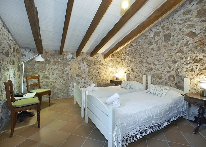 Owl Totxa - In The Midst Of Nature * Pollença