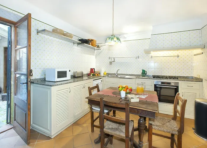 Owl Totxa - In The Midst Of Nature