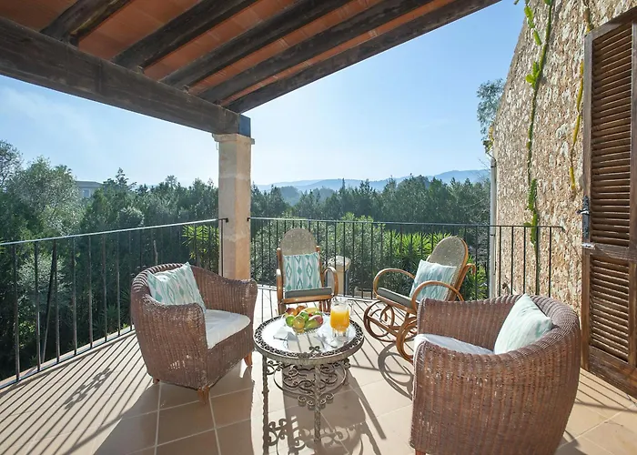 Owl Totxa - In The Midst Of Nature *