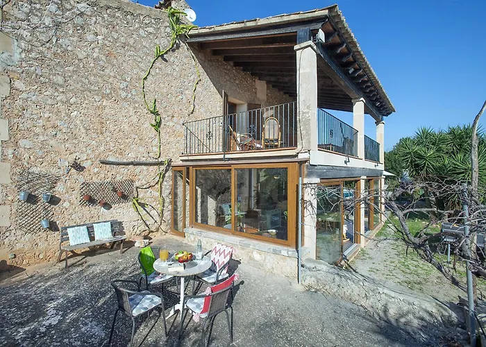 Owl Totxa - In The Midst Of Nature Pollença