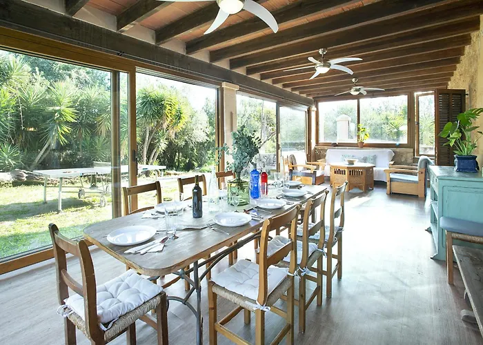 Owl Totxa - In The Midst Of Nature * Pollença