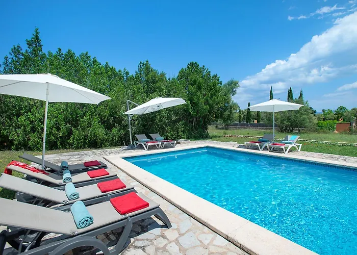 Owl Totxa - In The Midst Of Nature *