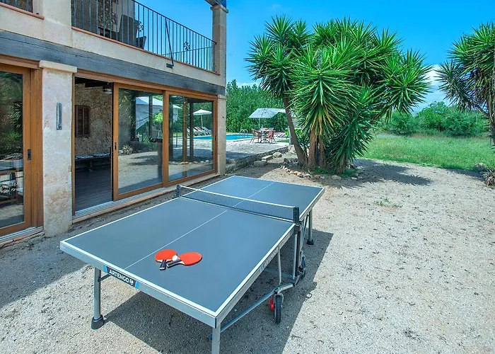 Owl Totxa - In The Midst Of Nature