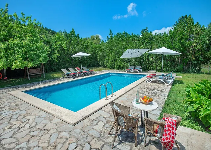 Owl Totxa - In The Midst Of Nature * Pollença